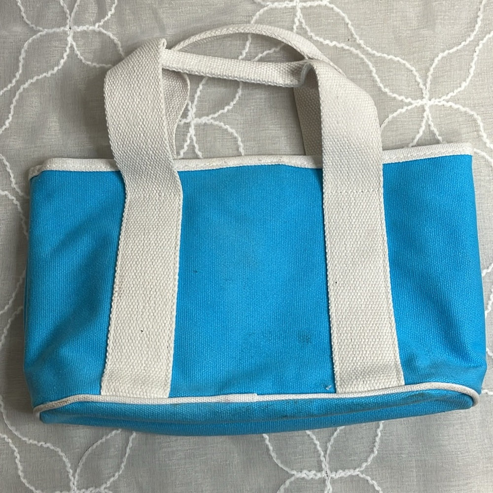 Mini tote for women